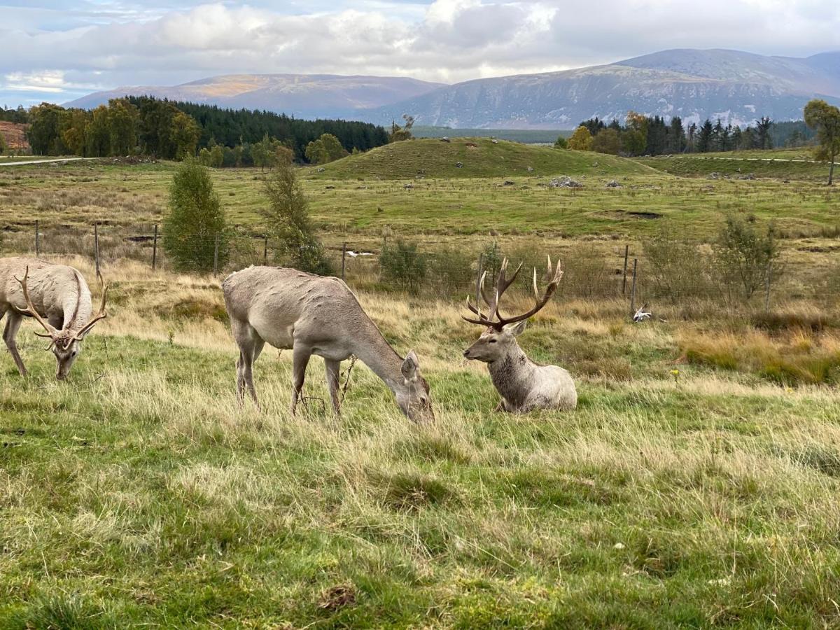 Ardenbeg Otel Grantown-on-Spey Dış mekan fotoğraf